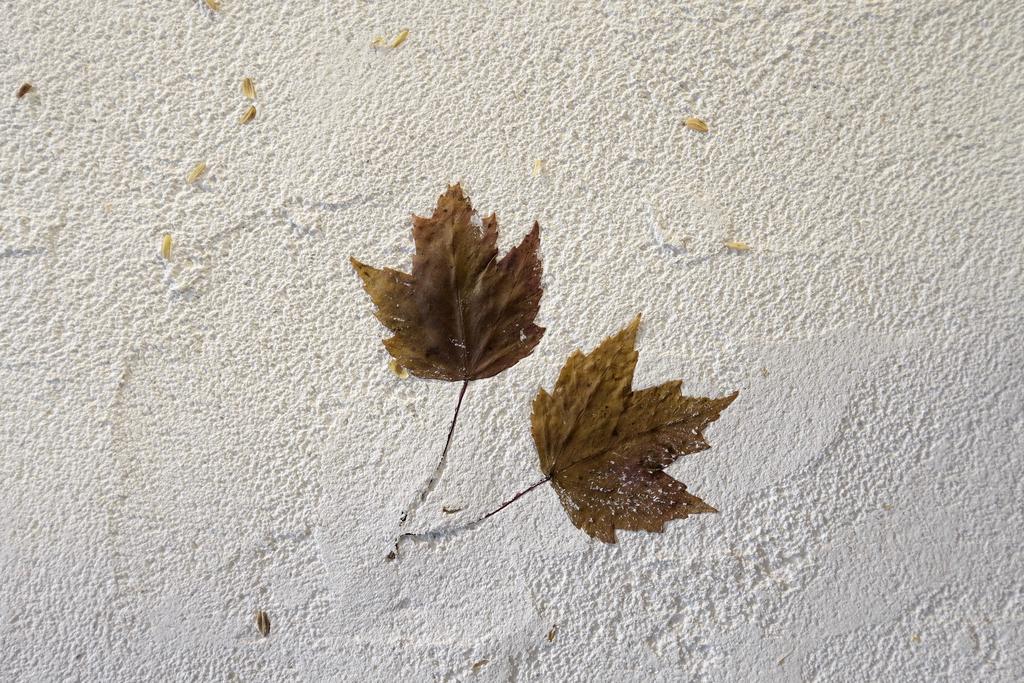 香蕉與黑膠 Yellow And Black Guest House Mei-nung エクステリア 写真